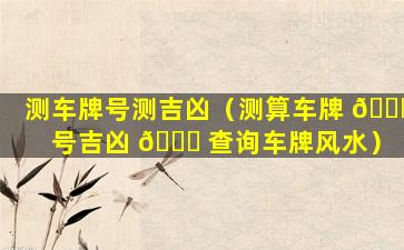 测车牌号测吉凶（测算车牌 🐕 号吉凶 💐 查询车牌风水）